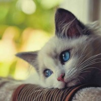 Ảnh đại diện của Nguyễn Văn Nam